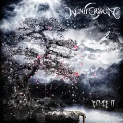 Обложка трека Beyond the Dark Sun (Wintersun cover)