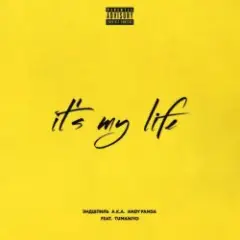 Обложка трека It's My Life