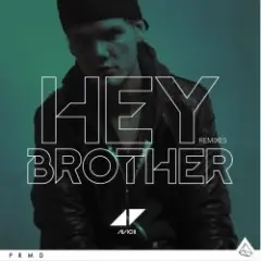 Avicii — Hey Brother (Extended Version)