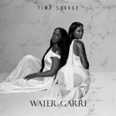 Tiwa Savage — Ade Ori