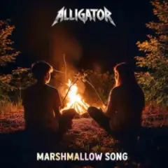 Обложка трека Marshmallow Song