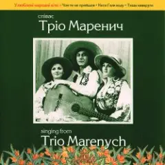 Обложка трека Налетіли журавлі