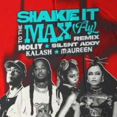 Обложка трека Shake It To The Max (FLY) [Kalash & Maureen Remix]