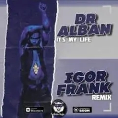 Обложка трека It's My Life (Igor Frank Radio Remix)