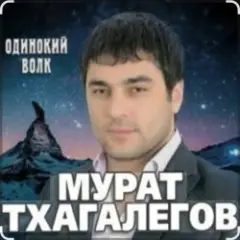 Обложка трека Одинокий волк
