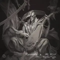 Tornada & MC PCIX — Чорна рада