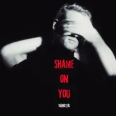 Обложка трека Shame On You