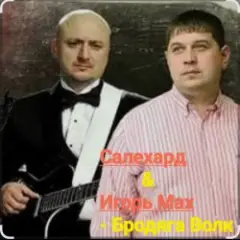 Обложка трека Бродяга волк