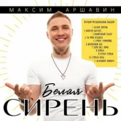 Максим Аршавин — Туман-туманище