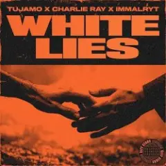 Обложка трека White Lies