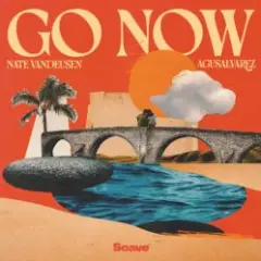 Nate VanDeusen & AgusAlvarez — Go Now