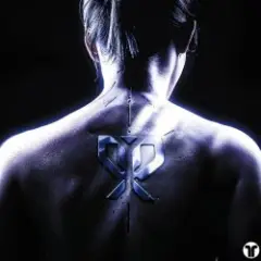 Pirapus — WERK