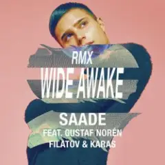 Обложка трека Wide Awake (feat. Gustaf Norén) [Red Mix]