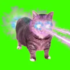 XertXetin — OIIA OIIA COSMIC CAT (Slowed)