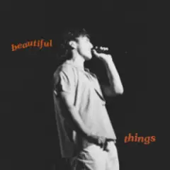 Обложка трека Beautiful Things