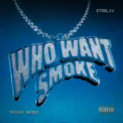 Обложка трека Who Want Smoke?