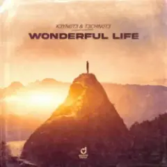 Обложка трека Wonderful Life