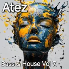 Обложка трека Bass House Vol7.