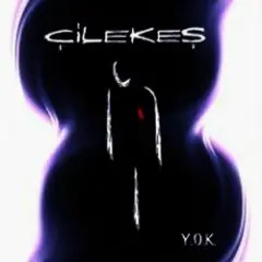 Обложка трека Çilekeş