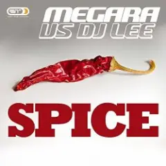 Обложка трека Spice (Single Edit)