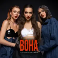 Обложка трека Вона (Gvozdini Remix)