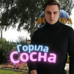 Обложка трека Горіла сосна