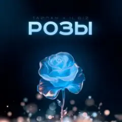 Тайпан feat. IL'GIZ — Розы