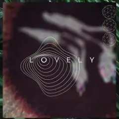 Slowsly — Black Bird (Original Mix)