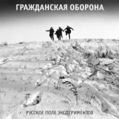 Обложка трека Русское поле экспериментов
