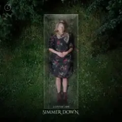 Обложка трека Simmer Down