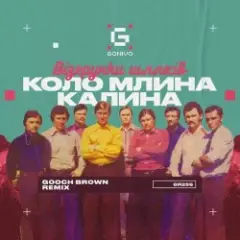 Обложка трека Коло млина калина