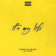 Обложка трека It's My Life
