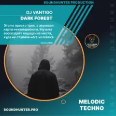 Обложка трека Dark Forest