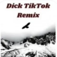 unknown — Тык дык тыг дык шабаман Байден Байден Байден (tik tok)