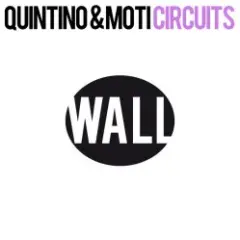 Обложка трека Circuits (Original Mix)