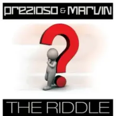 Обложка трека The Riddle (Alternative Radio Edit Mix)