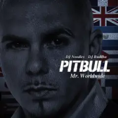 Pitbull — Not An Alcoholic