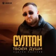 Обложка трека Султан твоей души