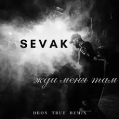 Обложка трека Жди Меня Там (DRoN TRuE Remix)