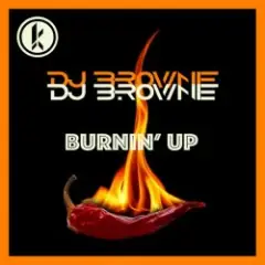 Обложка трека Burnin Up