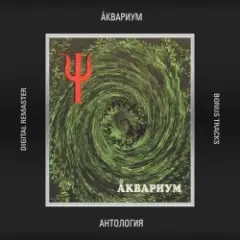 Аквариум — Телохранитель