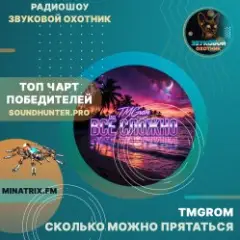 Обложка трека Сколько можно прятаться (soundhunter.pro)