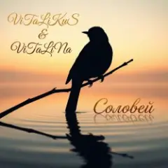 Обложка трека Соловей (Remix)