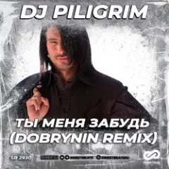 Dj Piligrim — Ты меня забудь