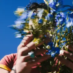 Joe Jonas — Honey Blonde