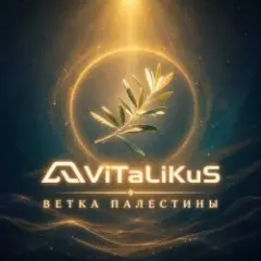 Обложка трека Ветка Палестины