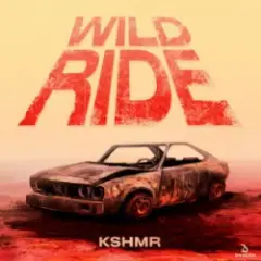 Обложка трека Wild Ride