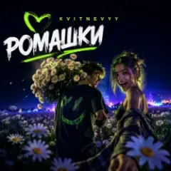 Обложка трека Ромашки