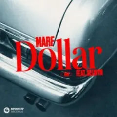 Обложка трека Dollar (feat. Selwyn)