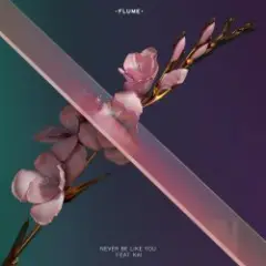 Обложка трека Never Be Like You (Feat. Kai)
